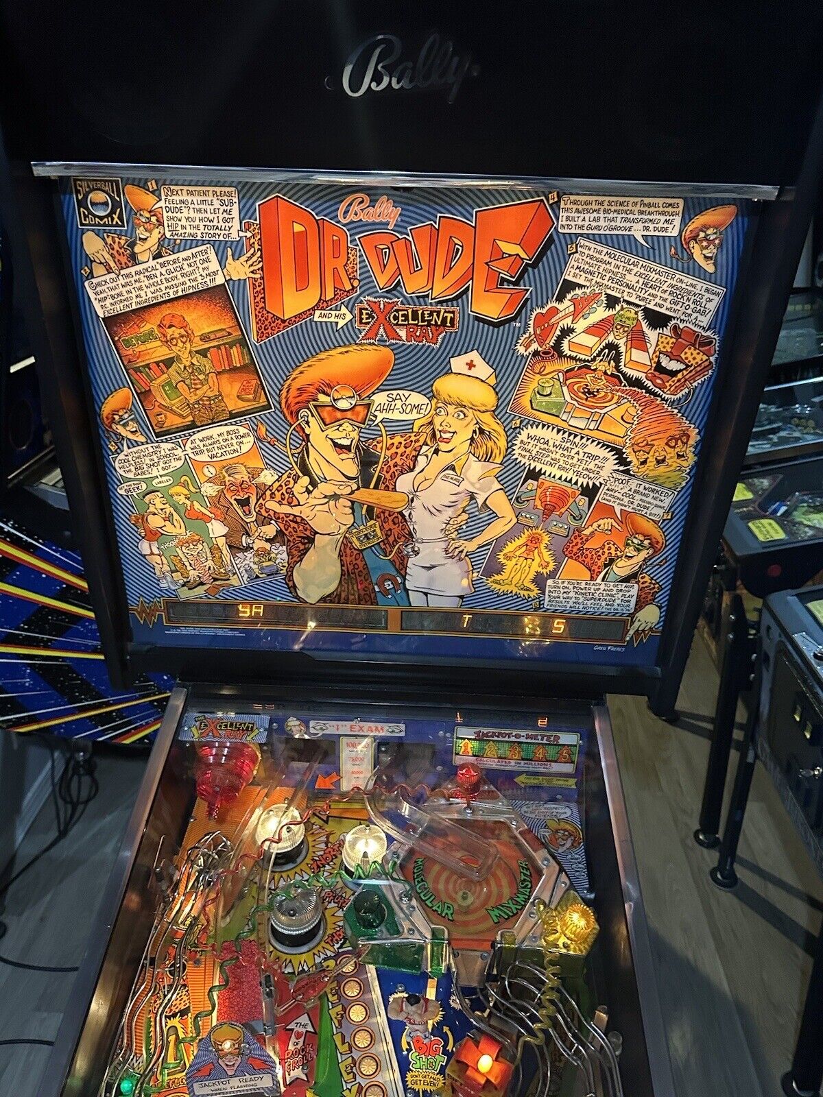 dr dude pinball machine